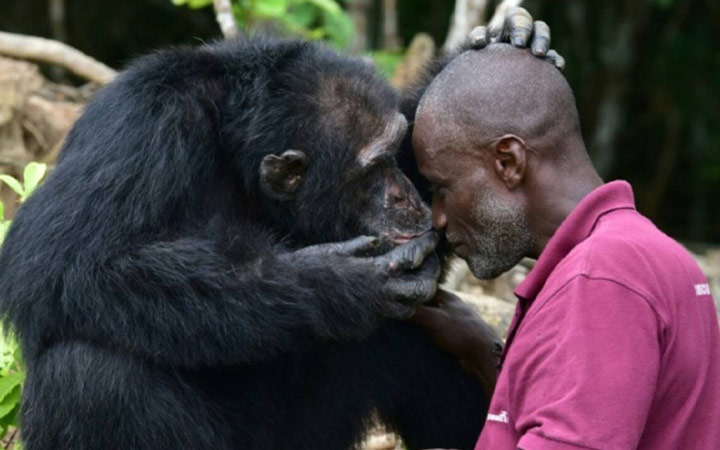 dr-marcel-ibrahim-keita-voici-ce-qu-il-faut-faire-pour-se-proteger-du-mpox